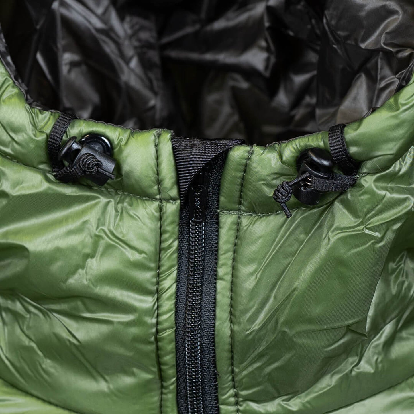Women's Torrid Jacket