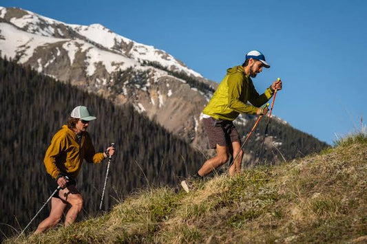 How to Choose the Right Trekking Poles — A Complete Buyer's Guide