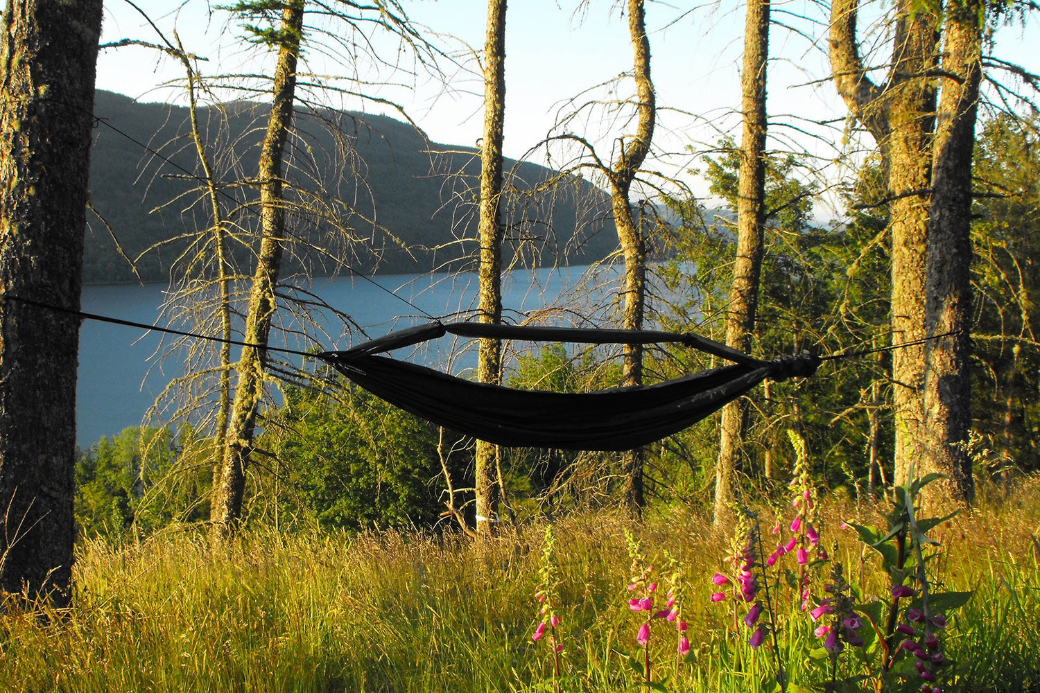 DD Hammock